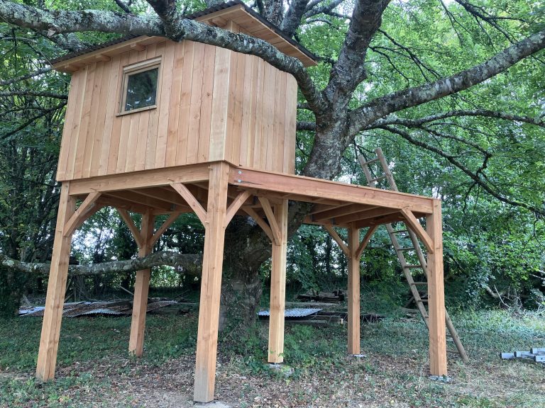 CABANE PERCHEE AUTOUR D'UN HETRE